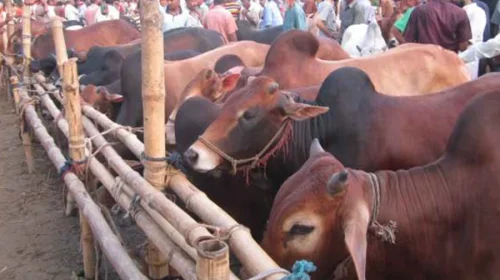 দৈনিক আশুলিয়া