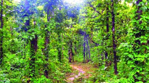 দৈনিক আশুলিয়া
