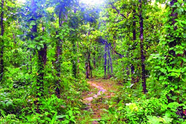 দৈনিক আশুলিয়া