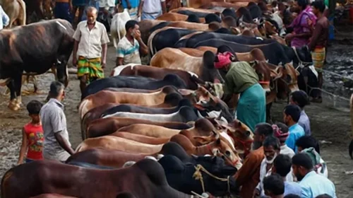 দৈনিক আশুলিয়া