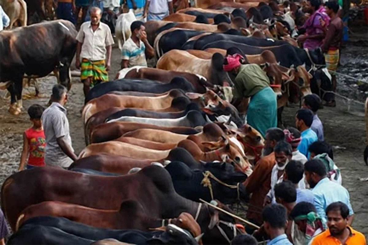 দৈনিক আশুলিয়া