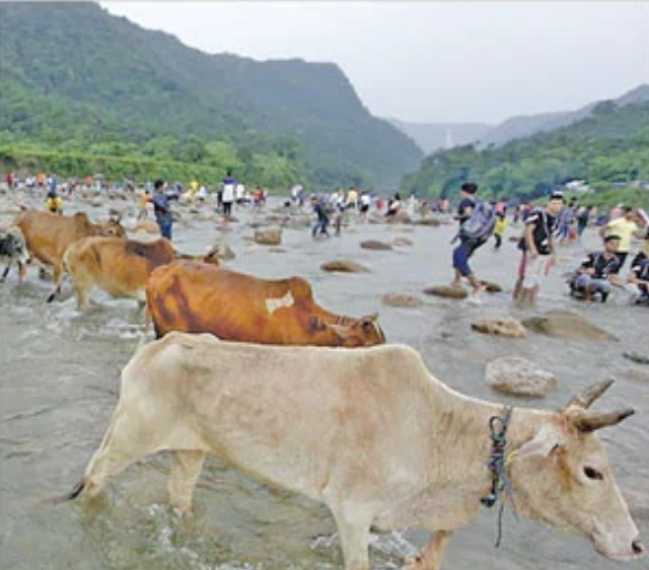 দৈনিক আশুলিয়া