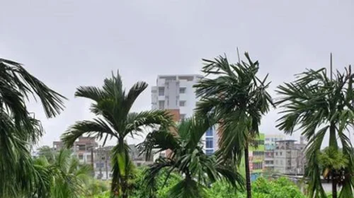দৈনিক আশুলিয়া