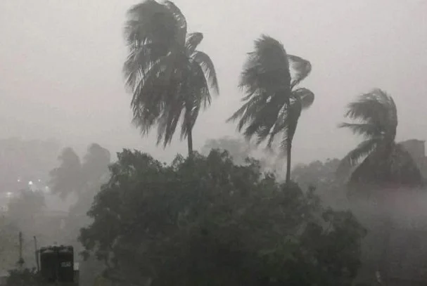 দৈনিক আশুলিয়া
