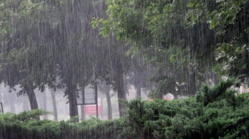 দৈনিক আশুলিয়া
