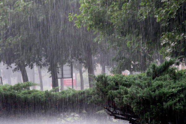 দৈনিক আশুলিয়া