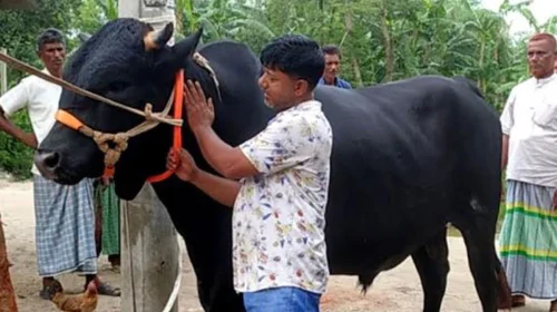 দৈনিক আশুলিয়া