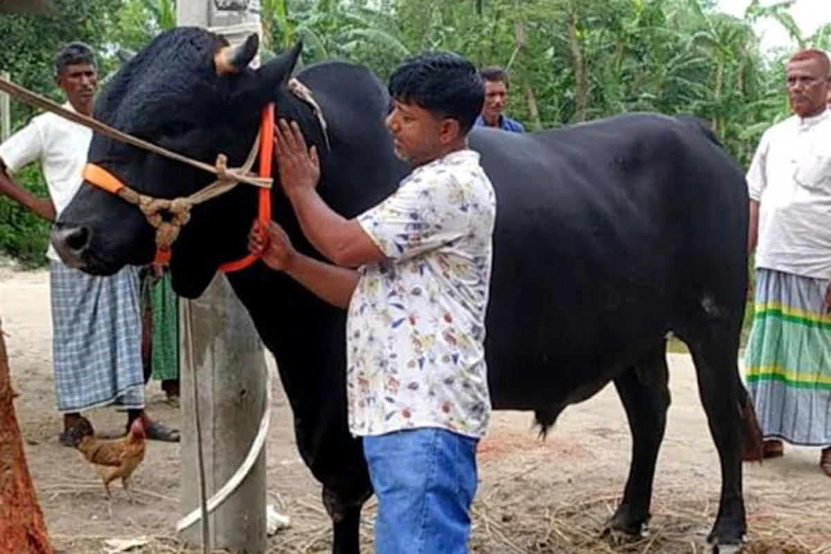দৈনিক আশুলিয়া