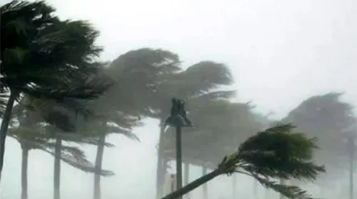 দৈনিক আশুলিয়া