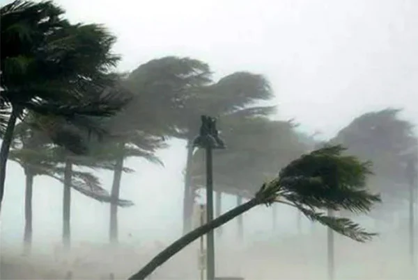 দৈনিক আশুলিয়া