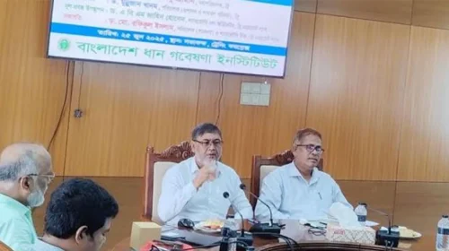 দৈনিক আশুলিয়া