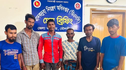 দৈনিক আশুলিয়া