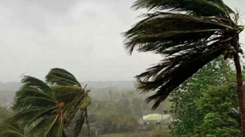 দৈনিক আশুলিয়া