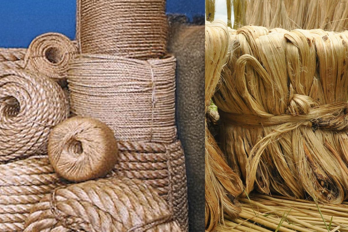 দৈনিক আশুলিয়া