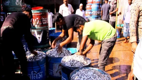 দৈনিক আশুলিয়া