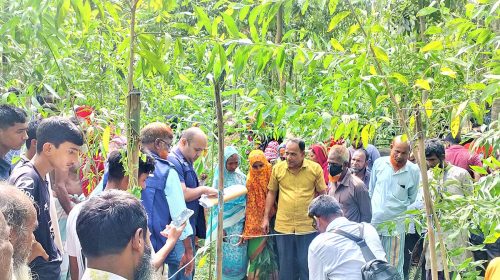 দৈনিক আশুলিয়া