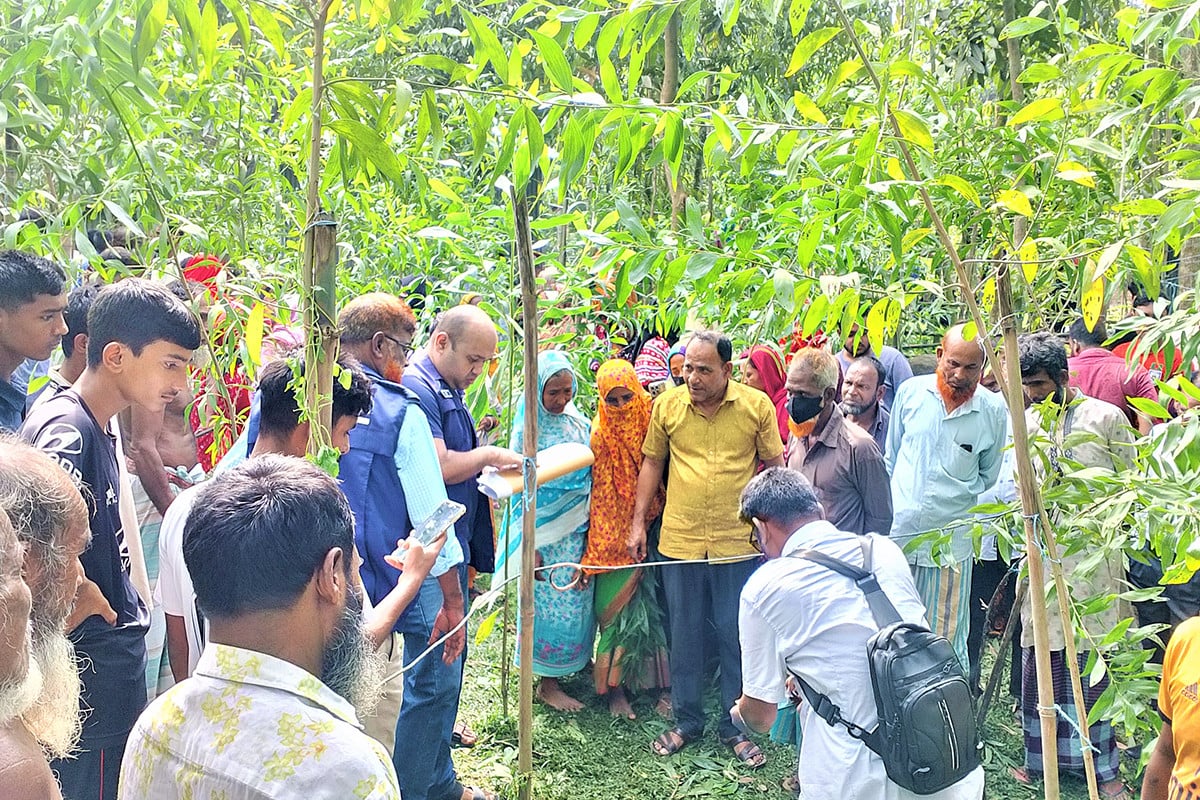 দৈনিক আশুলিয়া
