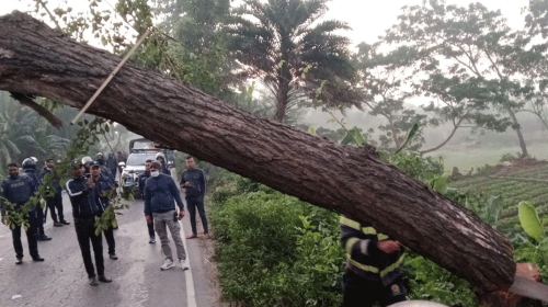 দৈনিক আশুলিয়া