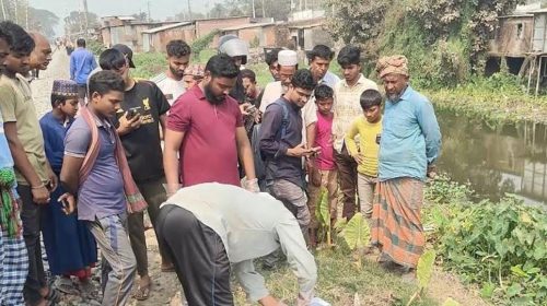 দৈনিক আশুলিয়া