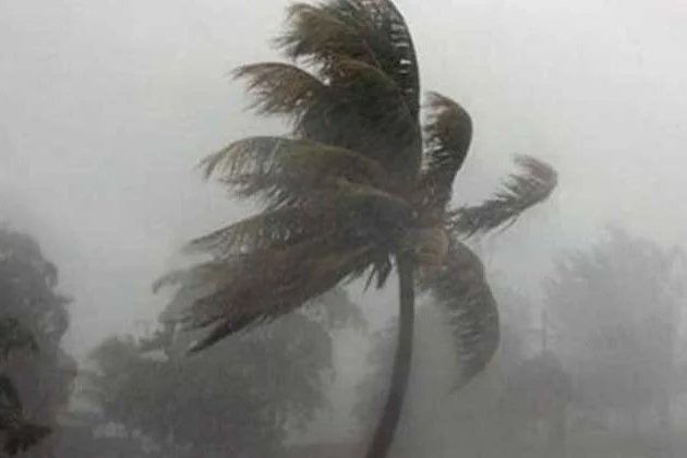 দৈনিক আশুলিয়া