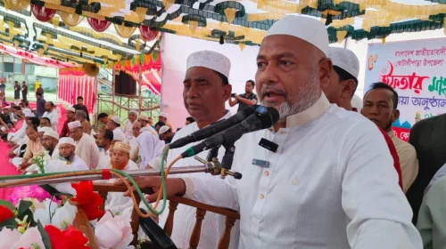 দৈনিক আশুলিয়া