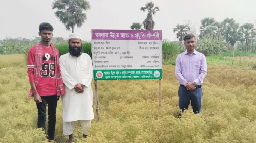 দৈনিক আশুলিয়া