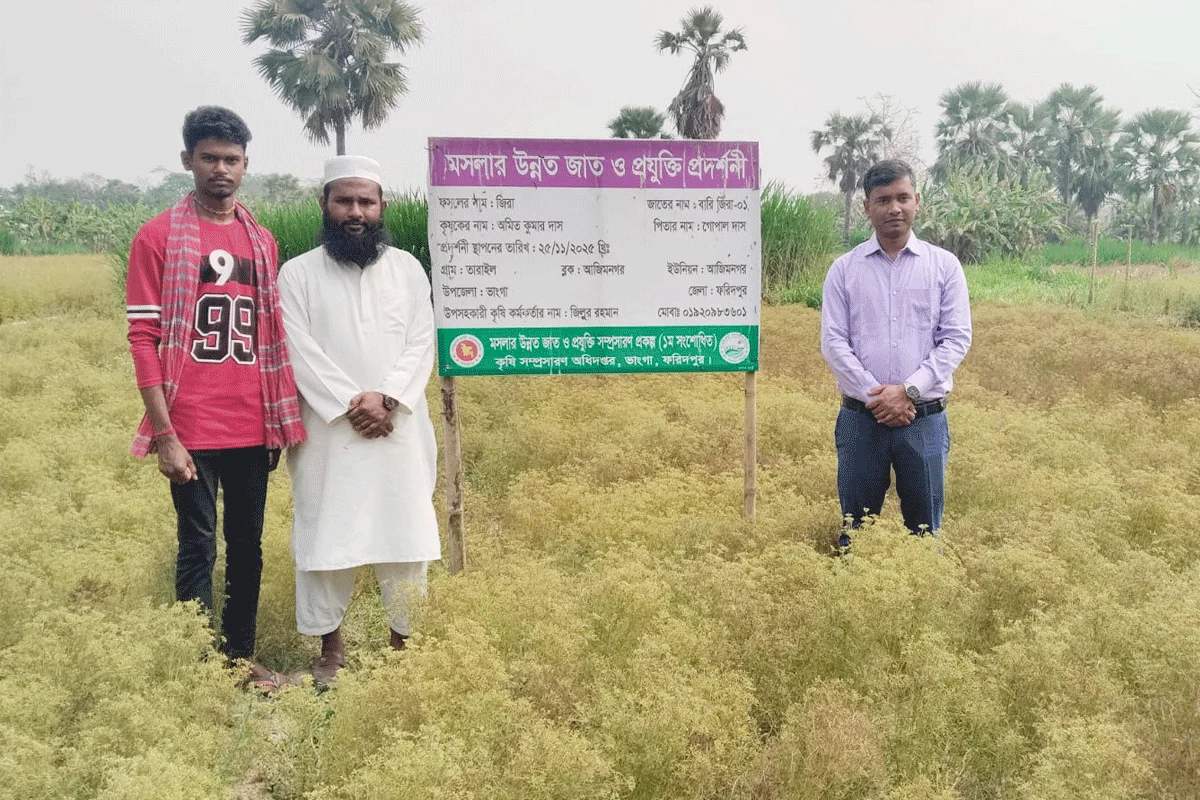 দৈনিক আশুলিয়া