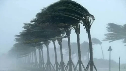 দৈনিক আশুলিয়া